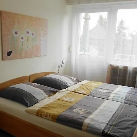 Apartment Grosszuegige Mit Bergblick Im Haus Hopfe *