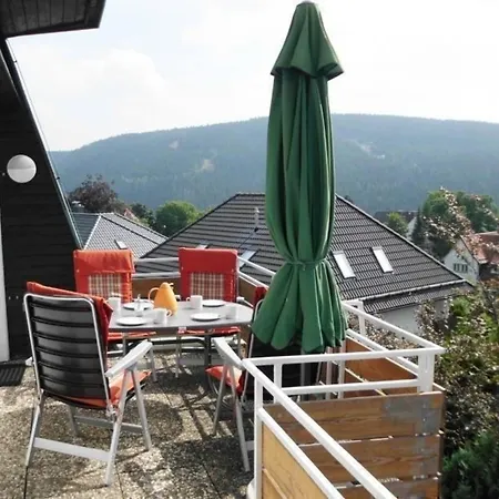 Grosszuegige Mit Bergblick Im Haus Hopfe