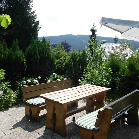Apartment Grosszuegige Mit Bergblick Im Haus Hopfe *